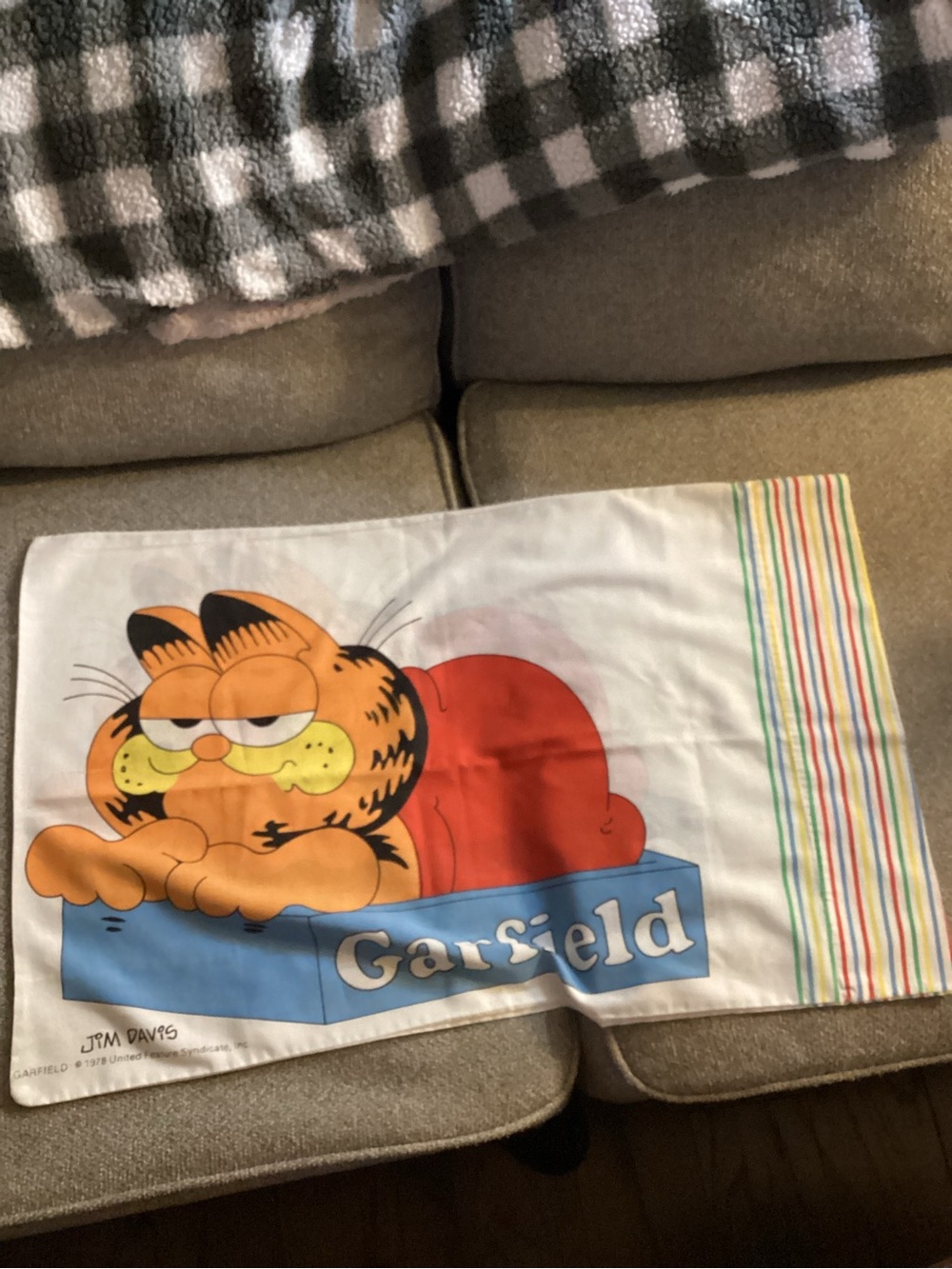 Garfield the Cat Kids Pillowcase large 18x30 Jim Davis 1978